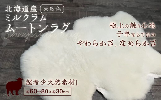 ミルクラム ムートン 約60〜80cm《足寄町》【石田めん羊牧場】ムートン 羊 羊毛 天然素材 高級 インテリア マット ベビー用 赤ちゃん ペット用 ペット 介護用 あしょろ 北海道 82000 82000円 [BEAD001]