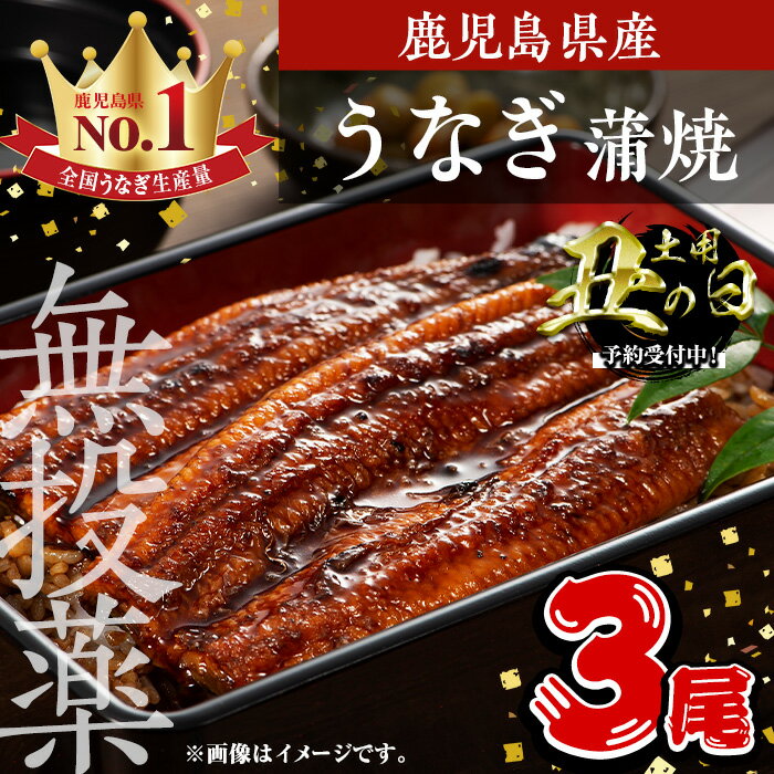 【ふるさと納税】＜丑の日先行予約受付中！＞鹿児島県産うなぎ蒲焼 (1尾あたり136g〜155g×3尾、タレ・山椒付き) 鰻 ウナギ うな重 ひつまぶし かばやき 九州産 国産 冷凍 【西日本養鰻】