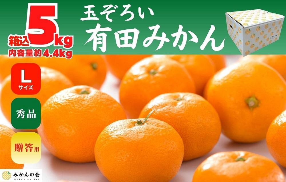 みかん Lサイズ 秀品 箱込 5kg (内容量約 4.4kg) 有田みかん 和歌山県産 産地直送 贈答用 ［2025年11月中旬より2026年1月中旬頃順次出荷予定］［みかんの会］ 	AX200