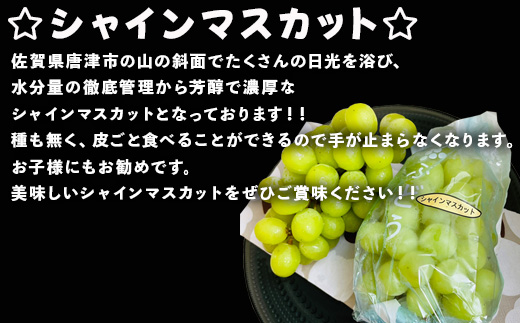 『先行予約』【令和7年9月中旬より順次発送】シャインマスカット1kg 2房 葡萄 ぶどう 果物 フルーツ スイーツ