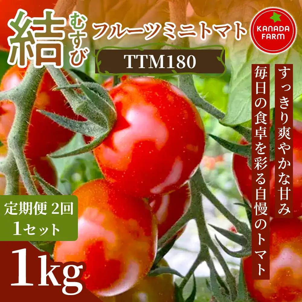 《先行予約》【定期便2ヶ月】（むすび）フルーツミニトマト（TTM180）1kg 定期便 甘い野菜 デザート感覚 おやつ スイーツ感覚 サラダ用 そのまま食べる 旬 家庭用 贈り物 すっきり爽やかな甘み結 お取り寄せ 産地直送 愛知県 豊橋市