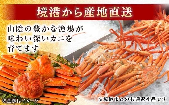 山陰 島根 松江 松葉ガニ 松葉がに 松葉蟹 かに カニ 蟹 ボイル 冷凍 家族 冷凍 おすすめ 人気 海鮮 鍋 お取り寄せ