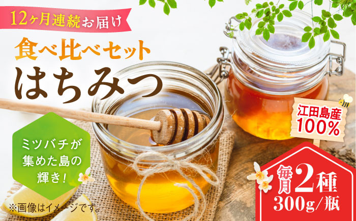 
            【全12回定期便】江田島産100％ はちみつ 2種食べ比べセット（300g×2本） ハチミツ 蜂蜜 国産 広島 江田島市/はつはな果蜂園 [XCD032] ハチミツ 国産蜂蜜 国産はちみつ 国産純粋はちみつ 蜜 蜂蜜 はちみつ ハニー honey 人気ハチミツ 日本蜜蜂 純粋はちみつ 常温 保存 備蓄 防災食 非常食 保存食 産地直送 国産 定期便
          
