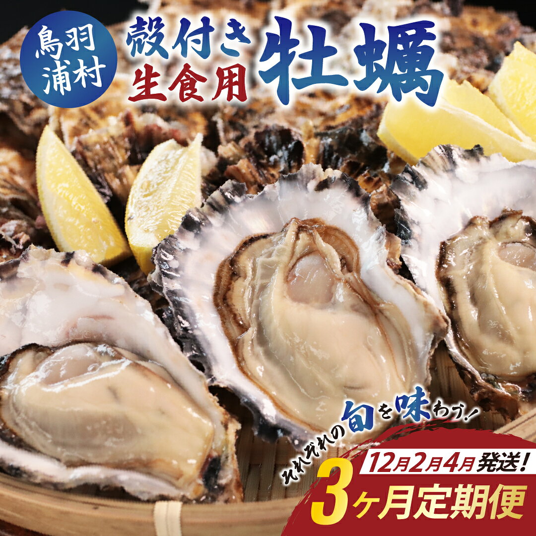 【ふるさと納税】【3ヶ月定期便 12月/2月/4月発送 】牡蠣 生食用 浦村 カキ 15個入り《 オイスターナイフ ・ 軍手付き 》 シェルカキ （ 殻付き牡蠣 ） 牡蠣 ギフト 35-04