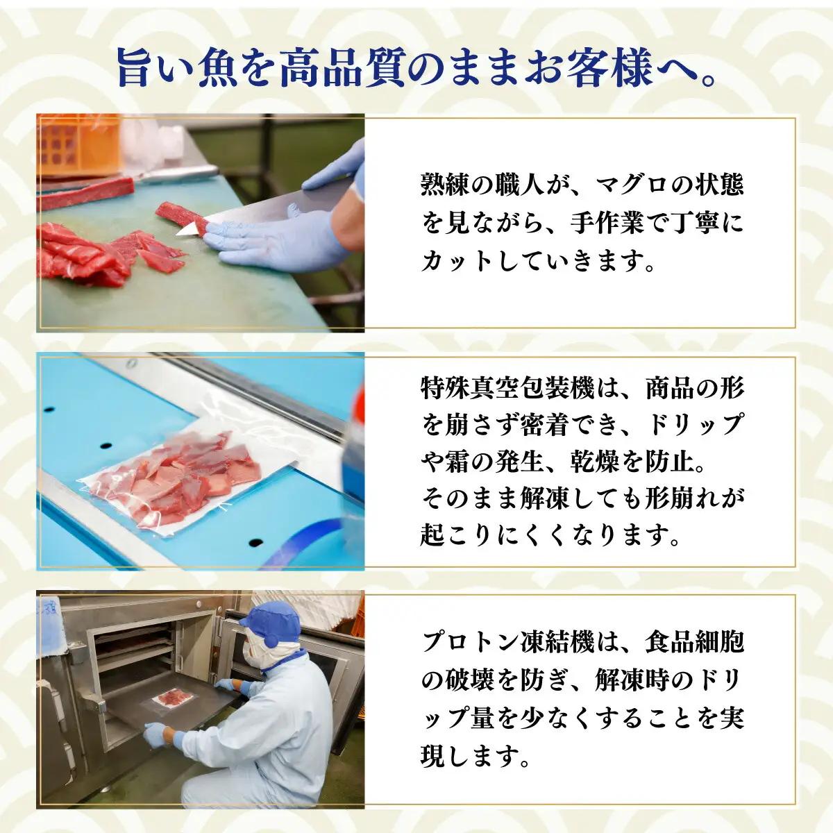 天然本マグロ切り落とし300g 【まぐろ】tk036