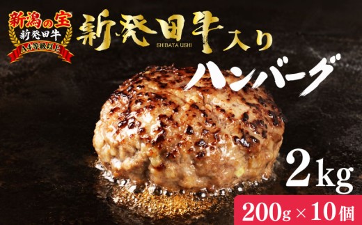 【新発田牛入り】 ハンバーグ 10個 新発田牛 ブランド牛 国産 人気 ハンバーグ 冷凍 個包装 小分け 肉 牛肉 豚肉 和牛 ハンバーグ ビーフ ポーク はんばーぐ 挽肉 国産和牛 ハンバーグ お肉 ミンチ お弁当 hannba-gu 新潟県 ハンバーグ 新発田市 新潟 新発田 shibatanomegumi001