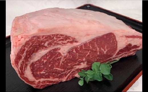 【ふるさと納税】豊橋牛（とよはしうし） ロース塊ブロック肉　ガッツリ食べたい　1．5kg！