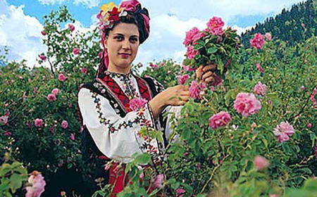 ＜新感覚！バラの香りにつつまれる炭酸飲料＞クイーンローズ 500ml×2本 佐賀県/株式会社Rose [41AAAS006]