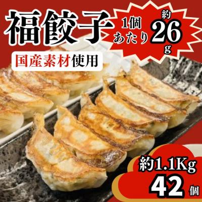 ふるさと納税 宍粟市 福餃子 42個(約1.1Kg)　BO1