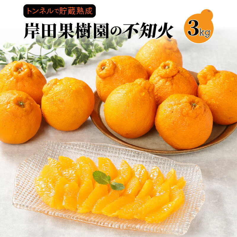 【ふるさと納税】トンネルで貯蔵熟成/岸田果樹園の不知火 約3kg（2月下旬から出荷開始予定）