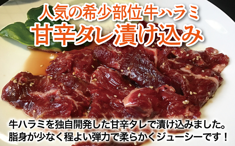 【満足牛ハラミ】甘辛タレ漬け 合計3kg 【味付け ハラミ 小分け 焼くだけ 簡単調理 BBQ 牛肉 250g×12P】 G3415