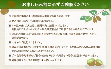 【体が喜ぶ】 キウイフルーツ 約2kg前後 （17～22個） バラ詰め合わせ （スタンドパック 3袋付き） 【2026年12月上旬-2027年4月下旬発送】 果物 くだもの 果実 キウイフルーツ フル