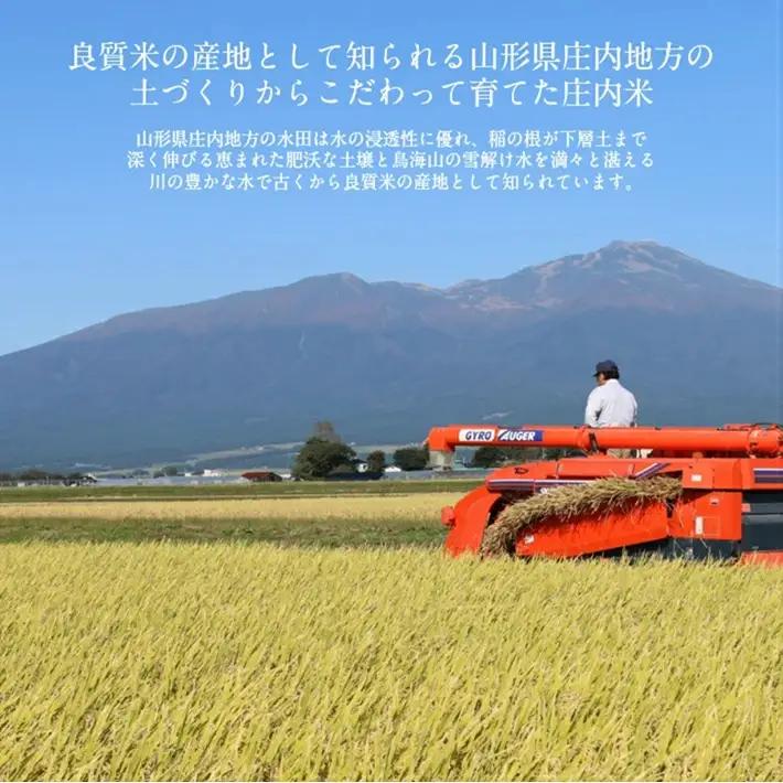 SA2957　令和7年産【精米】雪若丸　5kg×1袋 《農産物検査員おすすめの庄内米》 SY