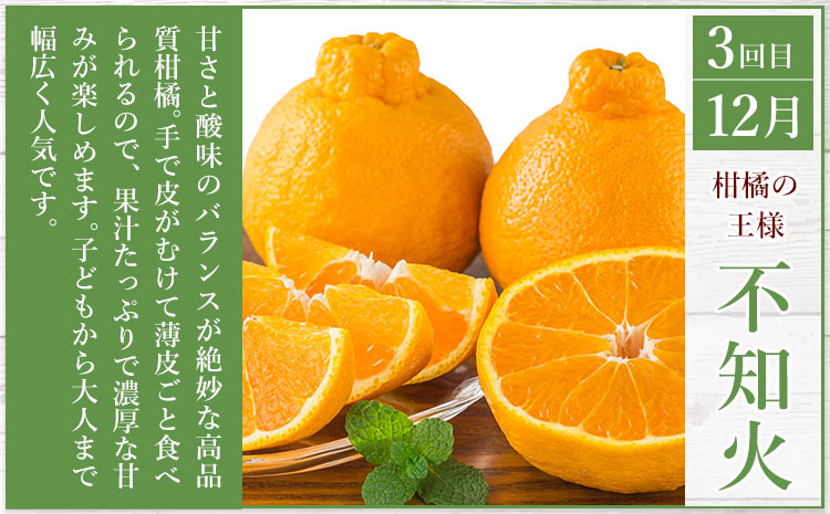 秀品 みかん 3ヶ月定期便 【ミニ：計8kg】 日本フルーツ株式会社《2025年10月上旬-12月末頃出荷》熊本県 長洲町 早生みかん 温州みかん 不知火 果物 フルーツ スイーツ デザート ギフト 