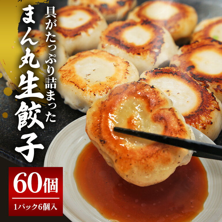 【ふるさと納税】まん丸生餃子冷凍30g×60個入り（1pac 6個入り）餃子 生餃子 国産豚肉 焼餃子 ぎょうざ ギョウザ ギョーザ 冷凍餃子 小分け お取り寄せ 惣菜 中華惣菜 点心 中華 惣菜 中華料理 飲茶 おかず おつまみ 【そうざい男しゃく（株式会社池延）】 【ho1439】
