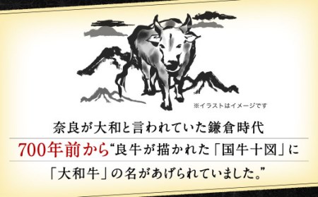 希少和牛 大和牛特選サーロインステーキ 約250g×4枚 特上牛肉 ステーキ 焼肉 イシダフーズ F-06
