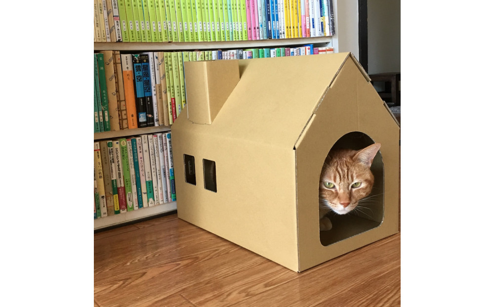 【クラフト地】キャッツプレイハウス＆専用つめとぎ10枚セット