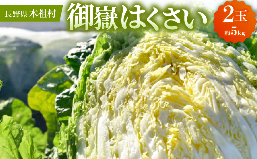 
                  ＜2026年8月発送分＞＜一玉一玉が大きい!シャキシャキ新鮮＞御嶽はくさい 2玉【1725765】
                