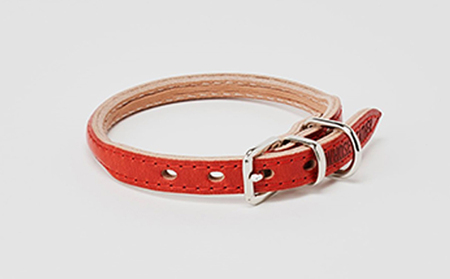 good collar 2号［犬 猫 首輪］ クリ