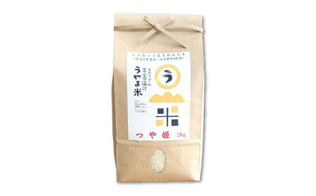 【新米】神話の里/吉田町「うやま米」つや姫 10kg（2kg×5）白米 精米 コメ 島根県雲南市/有限会社藤本米穀店[AIDB088]