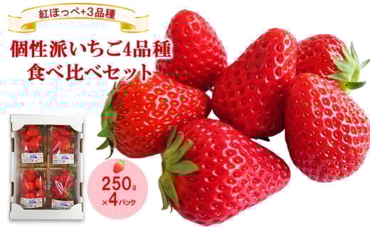 「紅ほっぺ」+3品種　個性派いちご4品種食べ比べセット　250g×4パック　『とくしま安２（安全・安心）農産物』優秀認定取得