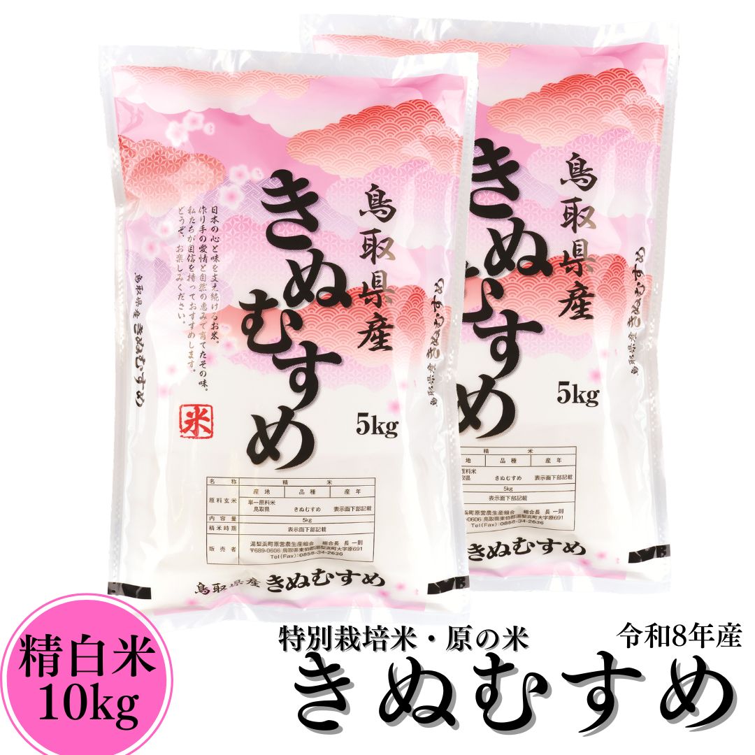 【ふるさと納税】新米 令和8年産 白米 精米 10kg きぬむすめ 特別栽培米 原の米 | お米 米 ご飯 銘柄米
