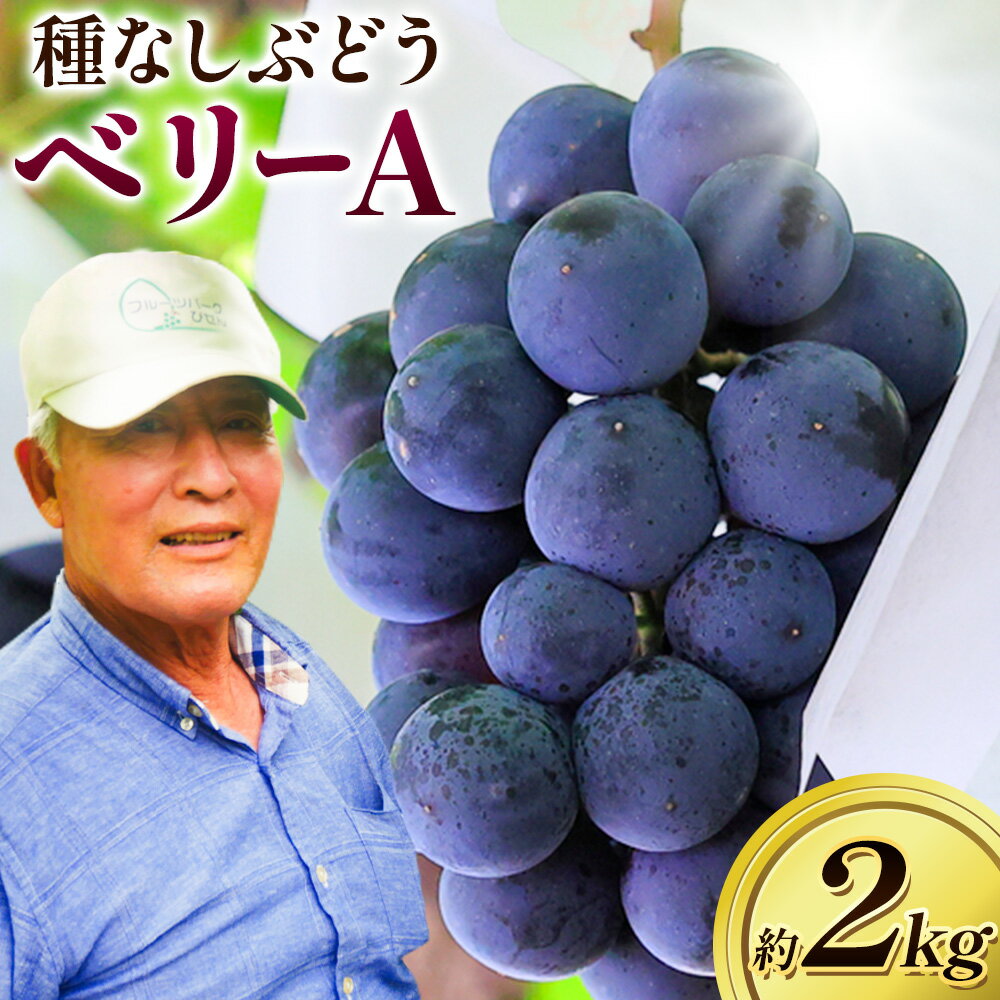 【ふるさと納税】ぶどう【2025年発送】岡山県備前市産「ベリーA」（露地栽培） 約2kg 《9月上旬-9月中旬頃出荷》株式会社フルーツパーク備前 岡山県 備前市 葡萄 ブドウ フルーツ 果物