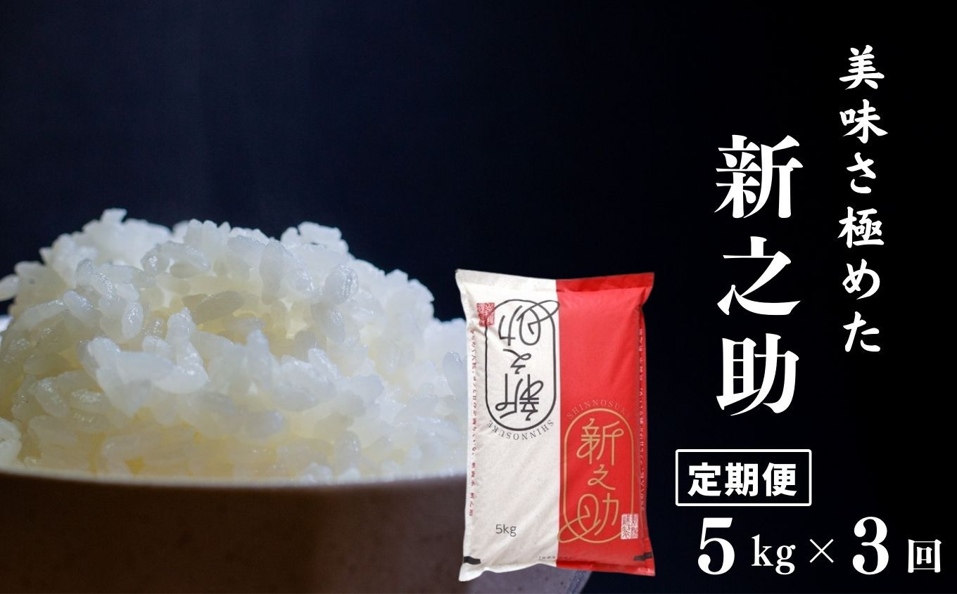 
                  令和8年産新米【定期便】美味さ極めた「新之助」5kg×3ヶ月 計15kg 米・食味鑑定士お墨付き 新潟県糸魚川産 2026年産 しんのすけ 白米 ギフト コシヒカリに代わる新潟県の新しいブランド米 農家直送 東山ファーム【おにぎり お弁当 におすすめ 米 コメ こめ お米 ご飯 ライス ふるさと納税米 毎月お届け 3ヶ月 3か月 3カ月 5キロ 精米 食品】
                