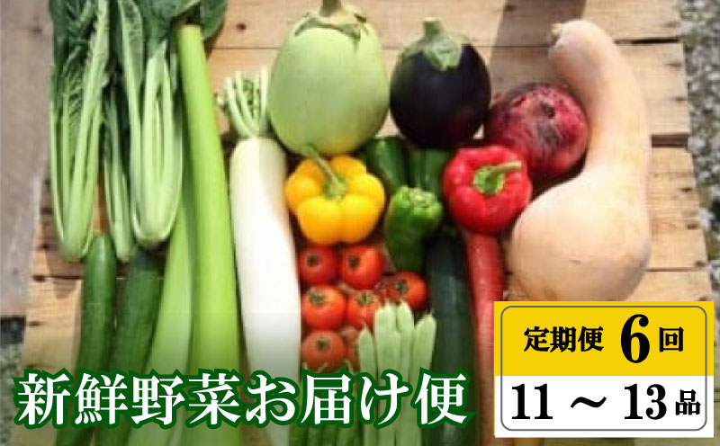 【年末年始限定】毎月の野菜便り【高知の野菜６回お届け定期便［プレミアム］