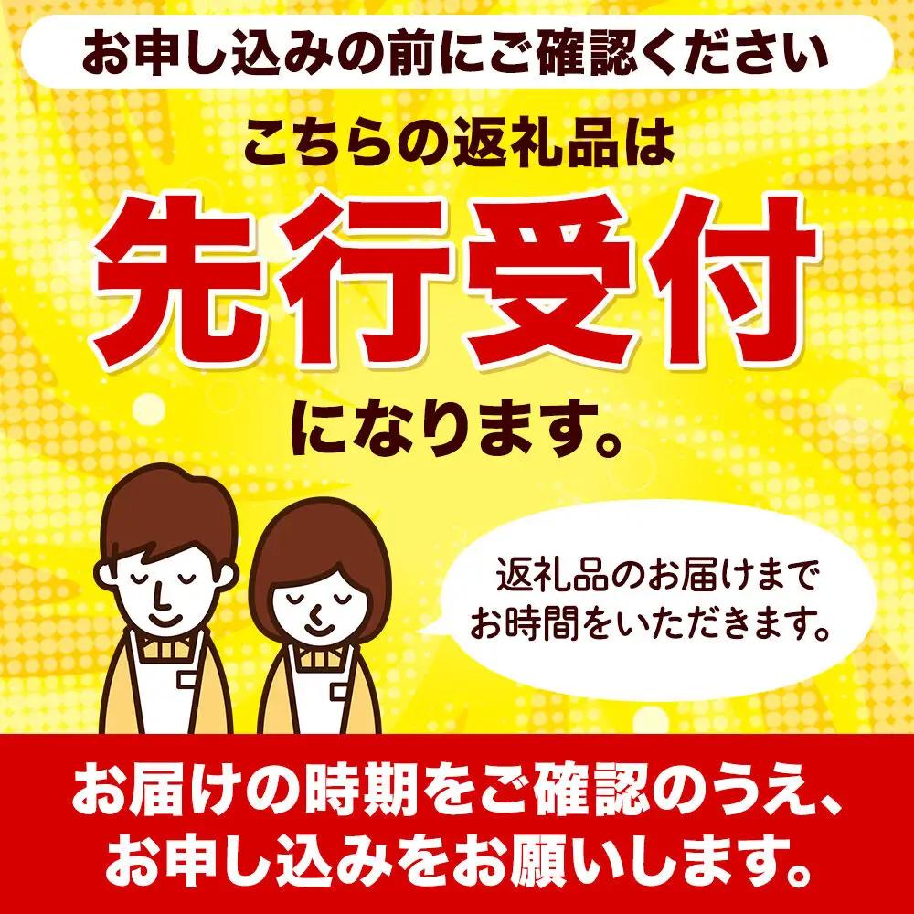 【先行受付 10月下旬より発送】りんご シナノスイート 約3kg （8～11玉）