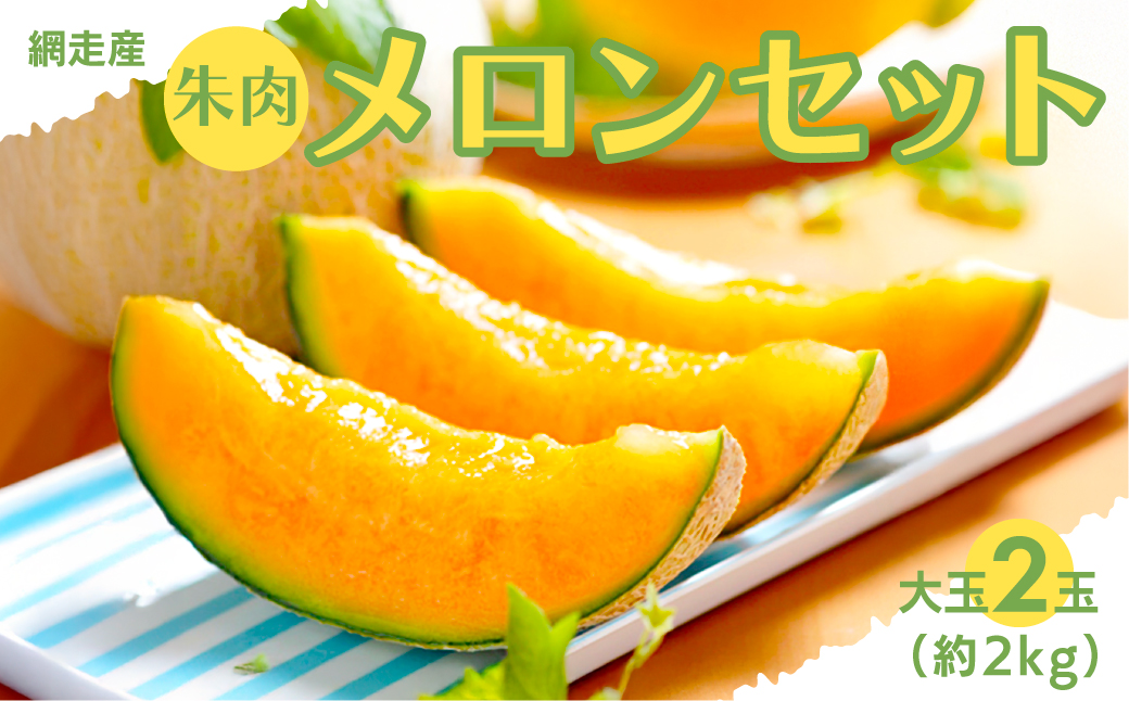 【期間・数量限定】甘くて美味しい 網走産朱肉メロン2玉＜早期予約＞＜網走産＞（2025年6月15日以降発送） ABAO2029