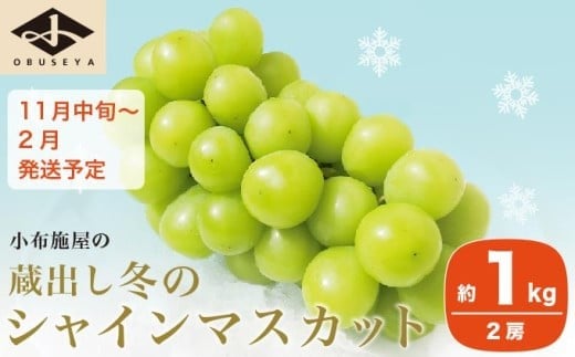 先行受付 蔵出し冬のシャインマスカット 約1kg 2房 ［小布施屋 ］長野県 ぶどう フルーツ 果物 冷蔵便 クール便 令和8年産【2026年11月中旬～2027年2月発送】［A-502］