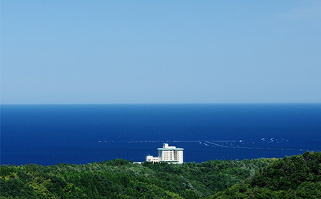 旅行 富山 ホテル 雨晴温泉 磯はなび ご利用 補助券 5000円分 旅行券 温泉 宿泊券 宿泊 旅行クーポン 食事券 お食事券 ホテル券 ギフト券 商品券 優待券 宿泊補助券 温泉利用券 入場券 チ