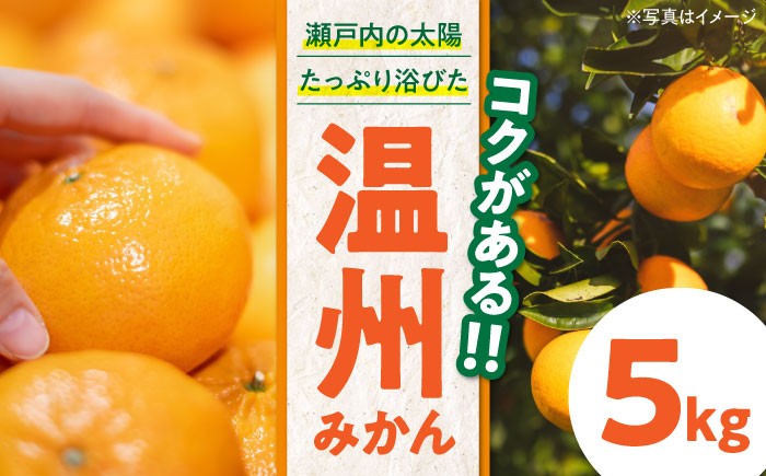 
                  【先行予約】【11月下旬から順次発送】 温州 みかん（南柑20号） 5kg（S～Lサイズ混合） 愛媛県大洲市/永沼農園[AGAW001] 先行予約 みかん ミカン 蜜柑 温州ミカン 温州みかん 果物 くだもの フルーツ 愛媛県産 大洲市産 産地直送 おすすめ 人気 お取り寄せ 送料無料 贈答 ギフト
                