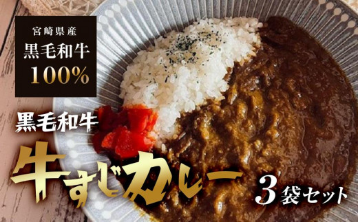 
黒毛和牛牛すじカレー
