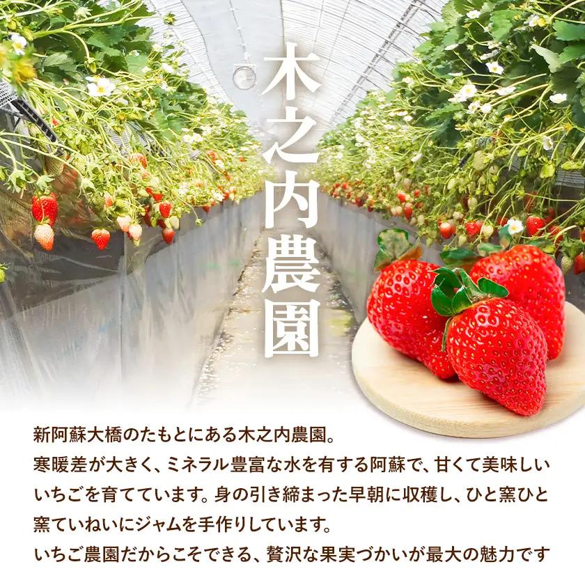 手作り いちご ジャム ブルーベリー ジャム 1kg×2本|木之内農園