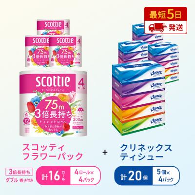 ふるさと納税 岩沼市 ティッシュ+トイレットペーパー4P   [No.5704-1778]