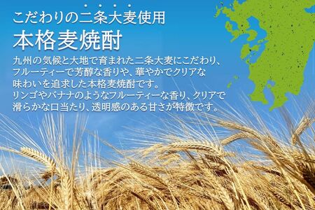 008-80 「琳の華」1.8L×1本