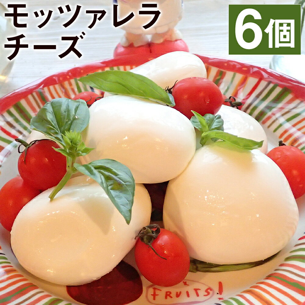 【ふるさと納税】モッツァレラチーズ「ミル爆」6個 合計600g 100g×6個 チーズ モザレラ フレッシュ カプレーゼ おつまみ 前菜 手作り 国産 熊本県産 菊池市産 送料無料《90日以内に出荷予定(土日祝除く)》