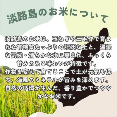 ふるさと納税 南あわじ市 令和7年産　淡路島産こしひかり　玄米30kg |  | 03