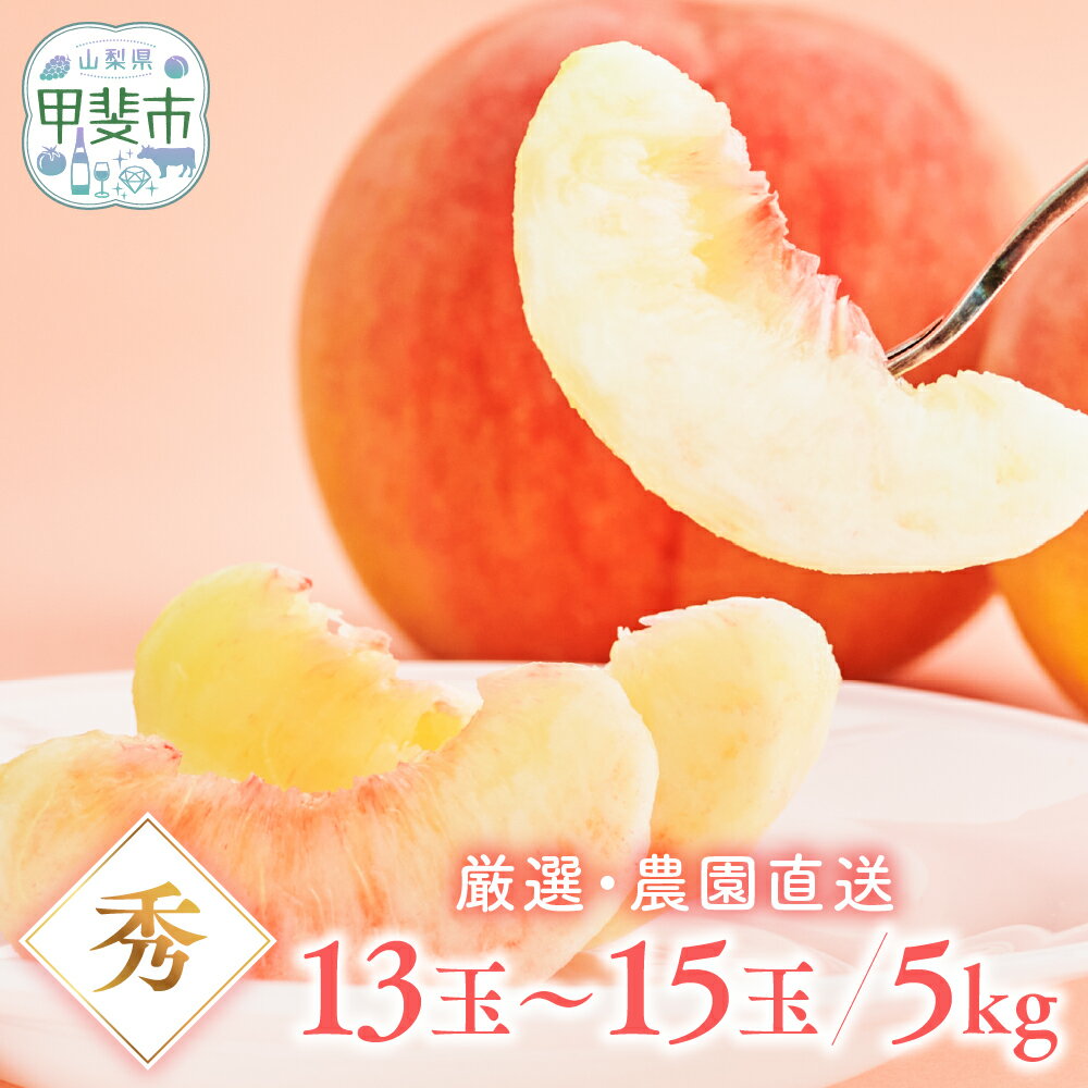 【ふるさと納税】 【先行予約2025年/令和6年発送分】桃　5kg　大箱