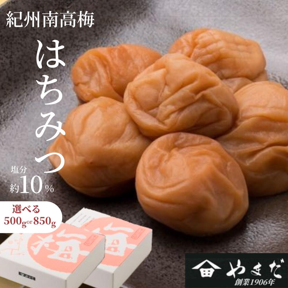 【ふるさと納税】紀州南高梅 はちみつ（塩分約10%） 500g～850g | 南高梅 梅 うめ ウメ 梅干し はちみつ梅 甘口 塩分控えめ