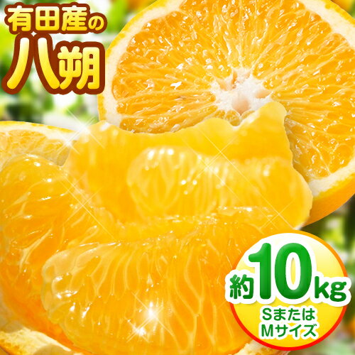 【ふるさと納税】【手選果】有田産の八朔 10kg（SまたはMサイズいずれかお届け） 厳選館 《2026年1月下旬-2月下旬頃出荷》和歌山県 日高町