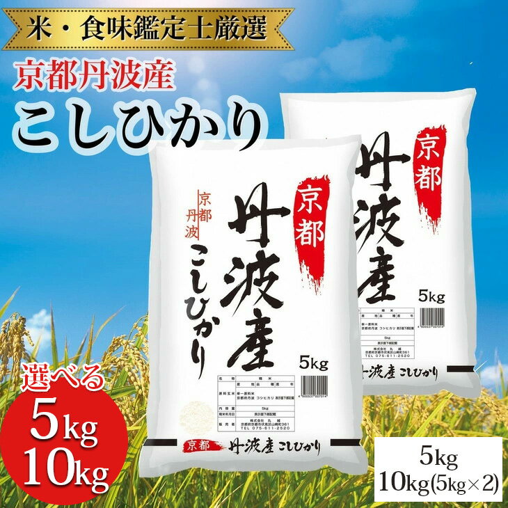【ふるさと納税】容量が選べる 令和7年産 新米 京都丹波産 こしひかり 米 5kg 10kg(5kg×2) ※米食味鑑定士厳選 ※精米したてをお届け【京都伏見のお米問屋が精米】※沖縄本島・離島への配送不可 ※2025年11月上旬頃より順次発送予定