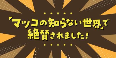 宮崎ひでじビール 定番と栗黒8本セット N073-ZA930