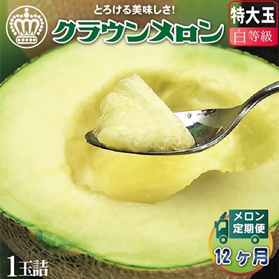 【毎月定期便】クラウンメロン 白等級 特大 1玉 静岡県産 高級マスクメロン【1年中お届け】全12回【配送不可地域：離島・北海道・沖縄県】