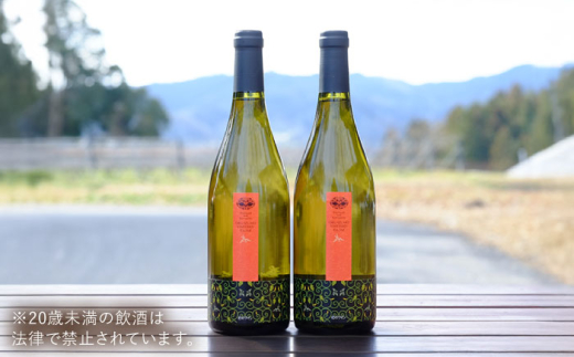 ワイン 奥出雲葡萄園 杜のワイン白　2本セット? ?国産 ワイン セット 白ワイン 2本 2本セット 詰め合わせ 飲み比べ セット お酒 酒 アルコール 日本ワイン 国産ワイン 地ワイン 750ml 