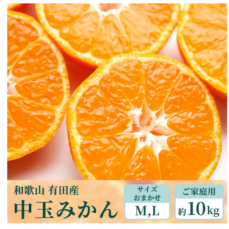 【ご家庭用】和歌山有田みかん約10kg(M、Lサイズ)【美浜町】〇 ※北海道・沖縄・離島への配送不可 ※2025年11月上旬～2026年1月下旬頃に順次発送予定