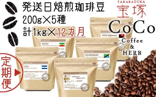【宝塚】12ヶ月の定期便（当日自家焙煎珈琲豆5種類）【粉】
