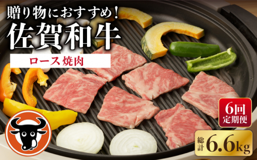 【6回定期便】 佐賀和牛 ロース 焼肉 1.1kg  / 佐賀和牛 佐賀県産黒毛和牛 牛肉【一ノ瀬畜産】 [NAC135]